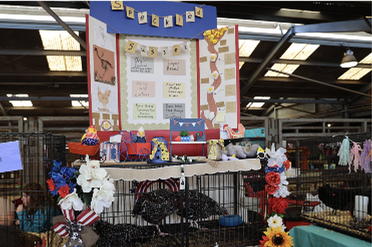 A highly decorated cage with two speckled birds inside. The cage theme is largely red, white, and blue. There are also several decorative flowers and trinkets around the cage.