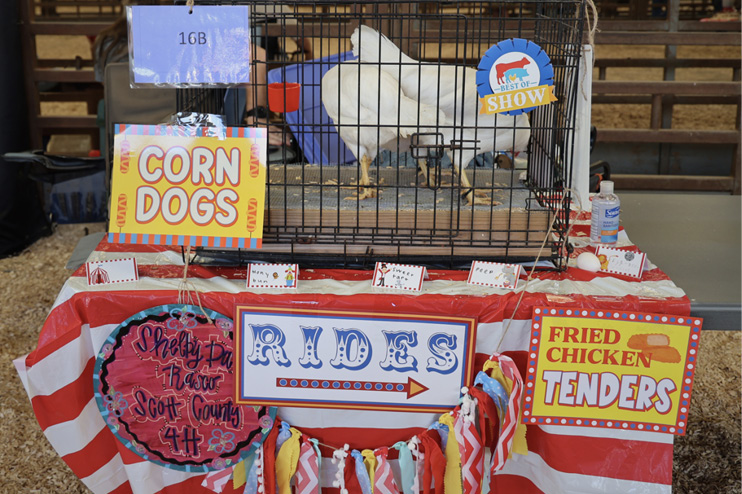 A cage with two birds inside. The decorative signs include "Fried Chicken Tenders," "Corn Dogs," and a nameplate for Shelby Rasco, the owner.